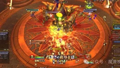 澳网现场：中国球童风采展现